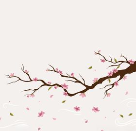 樱花