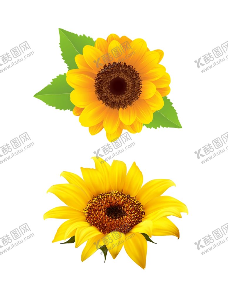编号：88582610121314046674【酷图网】源文件下载-向日葵