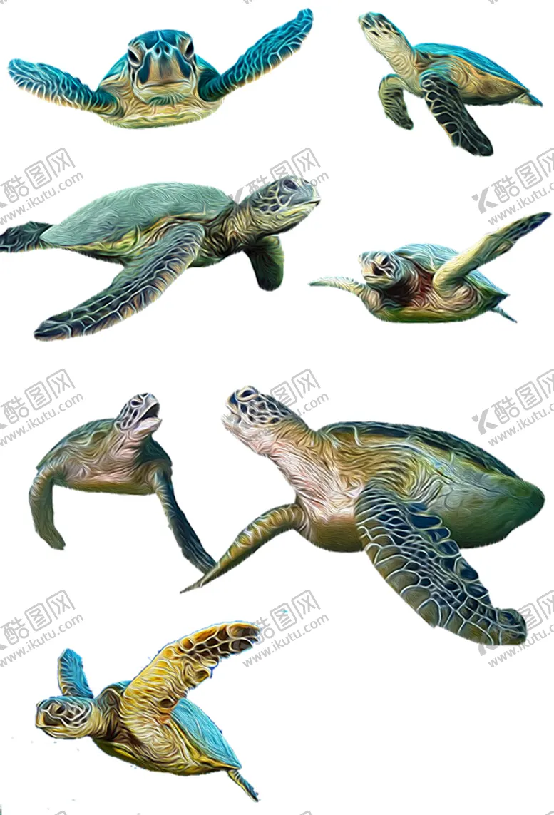 编号：36487910021052438543【酷图网】源文件下载-海龟免抠