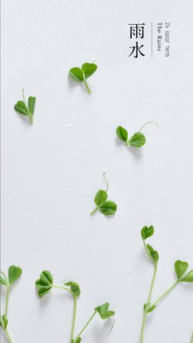 雨水