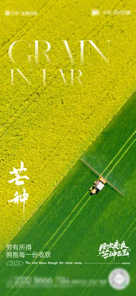 芒种节气海报