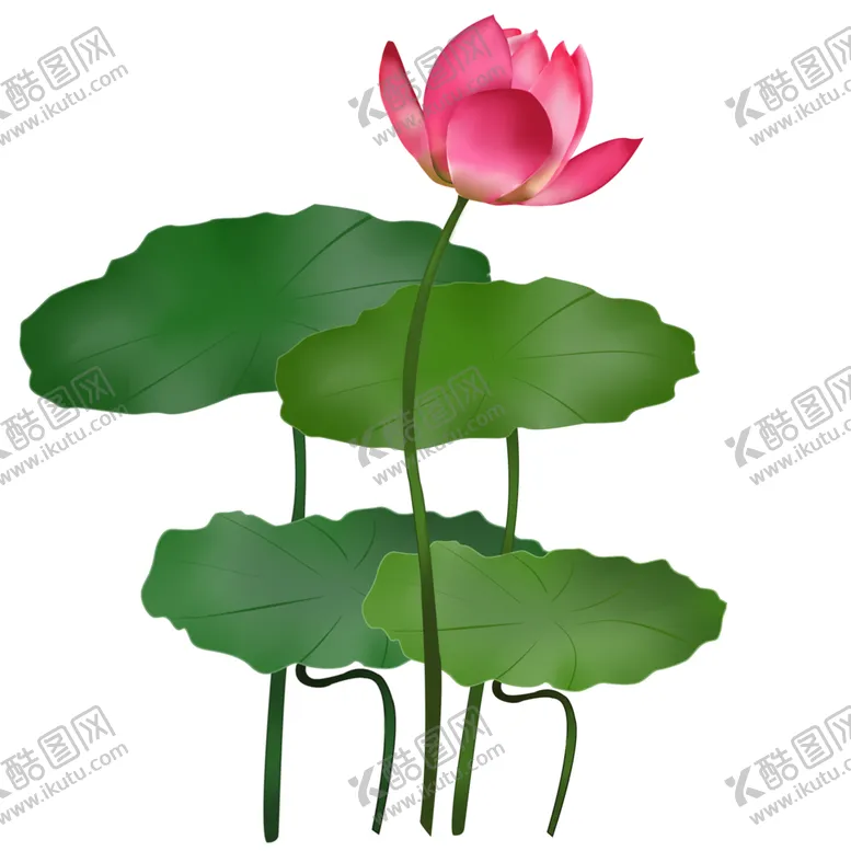 编号：63555506260812285158【酷图网】源文件下载-荷花元素