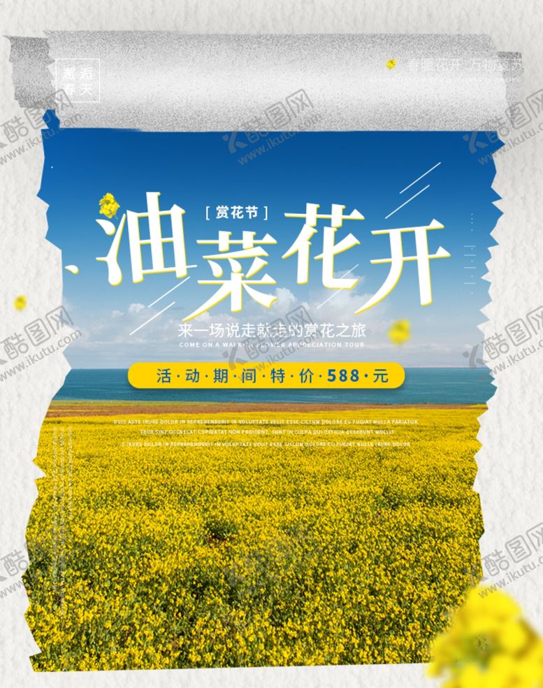 编号：98254409291848365371【酷图网】源文件下载-油菜花