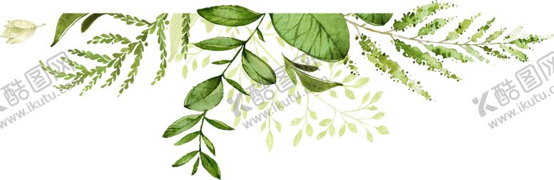 编号：68764710081600477314【酷图网】源文件下载-手绘植物叶子