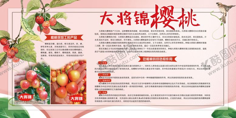编号：79586409141501429381【酷图网】源文件下载-樱桃品种介绍大将锦吃的好处