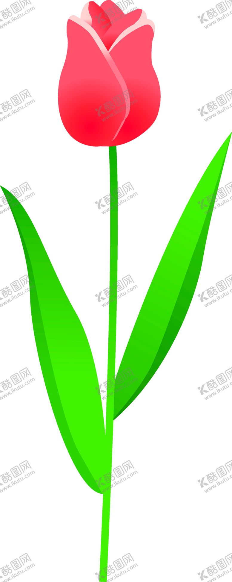 编号：64938105100132462337【酷图网】源文件下载-鲜花装饰