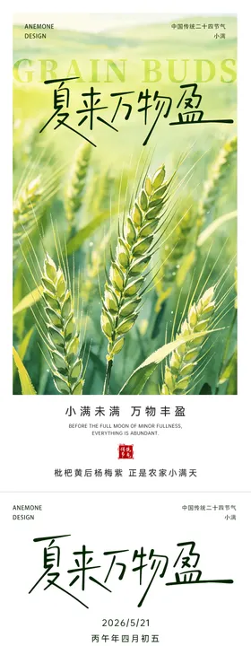 小满节气海报