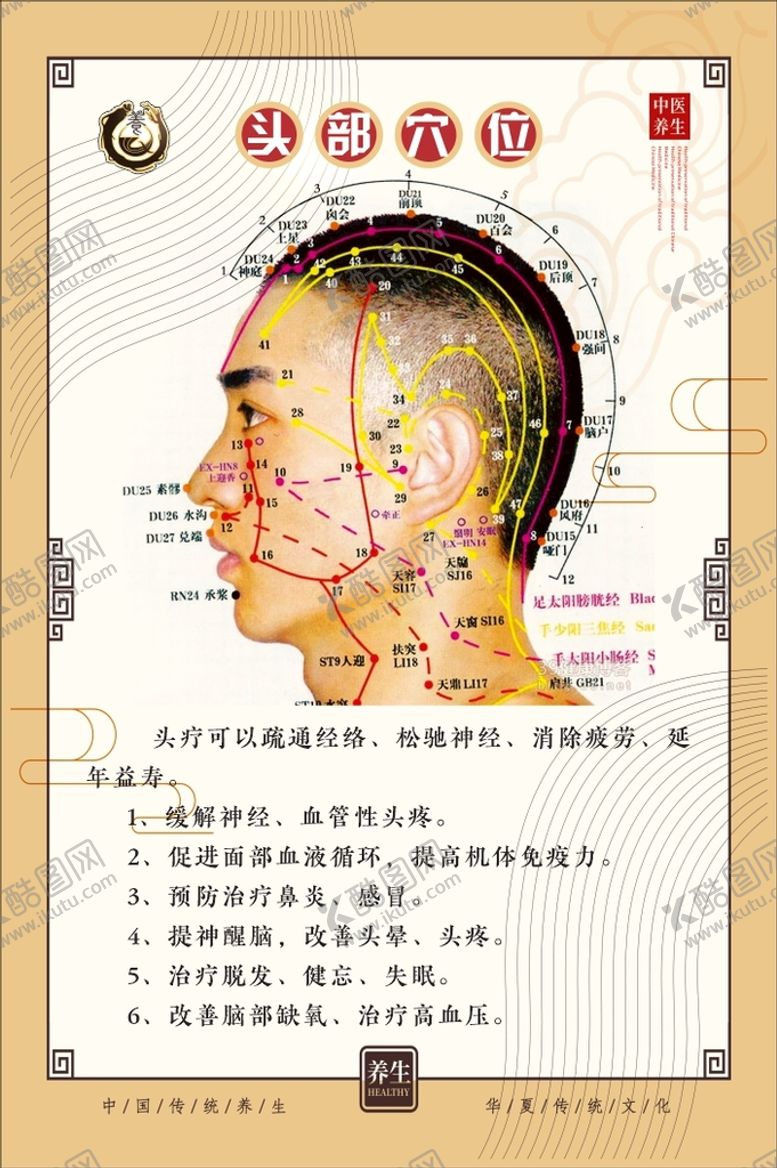编号：12593609190506247489【酷图网】源文件下载-头部穴位图