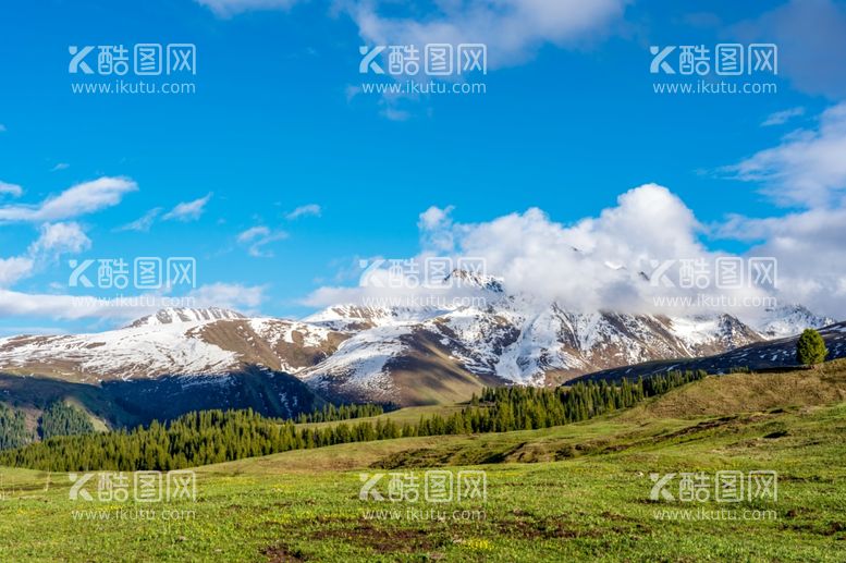 编号：63636711270032572241【酷图网】源文件下载-雪山草原