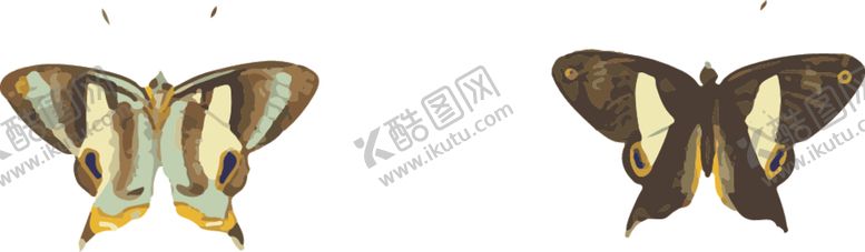 编号：20122610100938426200【酷图网】源文件下载-自然昆虫标本插画