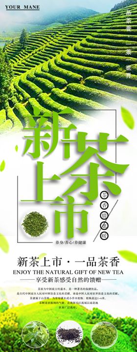 新茶上市品茶