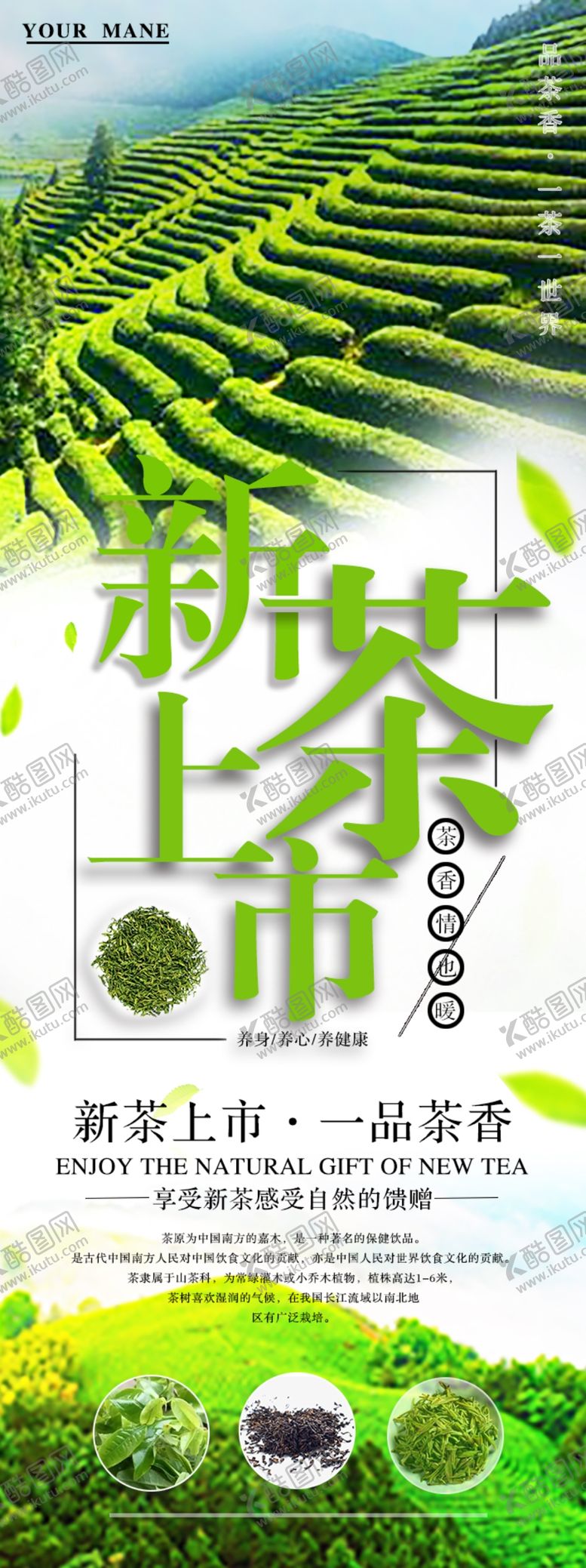 编号：26181310180750508379【酷图网】源文件下载-新茶上市品茶
