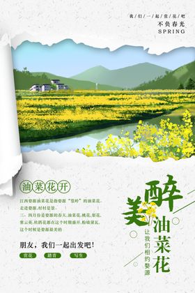 油菜花海报一片油菜花油菜花