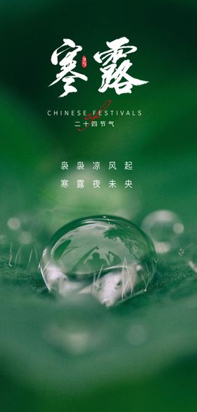 寒露海报节气地产植物