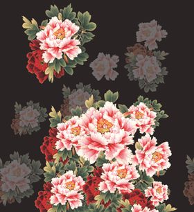 牡丹花