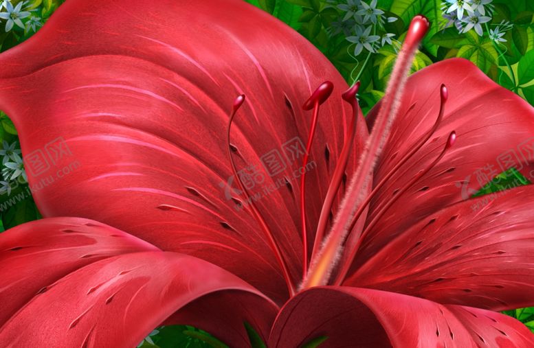 编号：91071309280415445772【酷图网】源文件下载-美丽的花