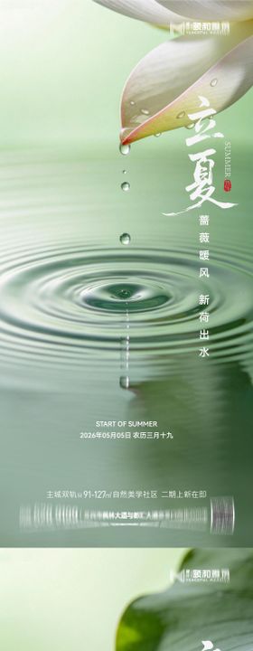 立夏节气节日海报二十四