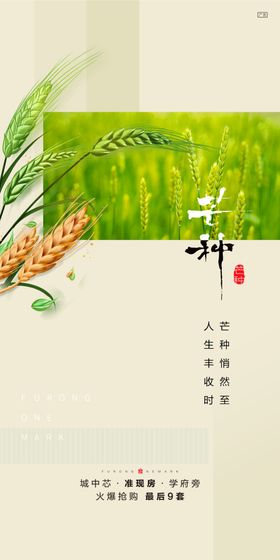 中国传统24节气芒种海报燕子闪屏二十四