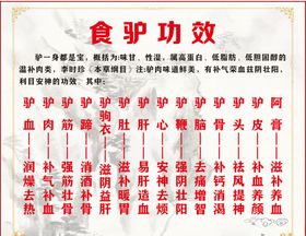食驴功效养生