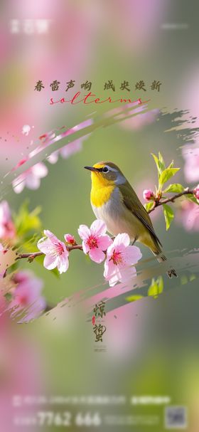 地产2026惊蛰节气推图