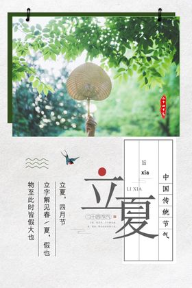 立夏活动传统海报宣传