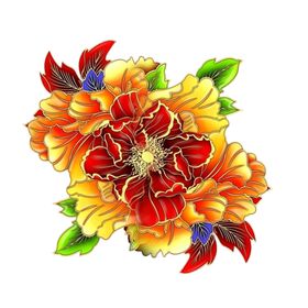 牡丹花