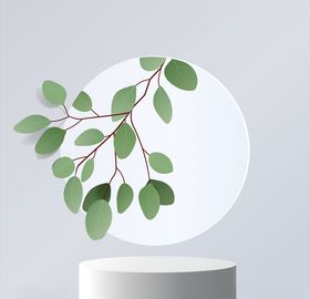 产品展示