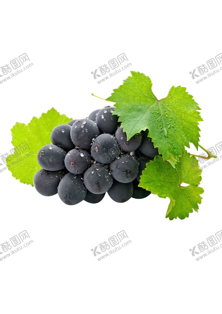 编号：58212009152340506341【酷图网】源文件下载-葡萄