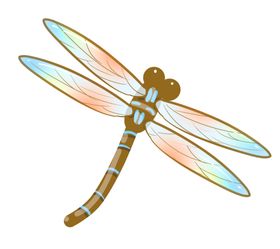 蜻蜓