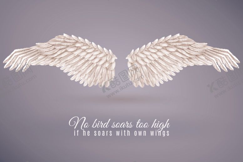 编号：54669910301515032489【酷图网】源文件下载-白色翅膀
