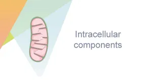 细胞生物学和组织学医疗元素医元素医疗素材医疗插画
