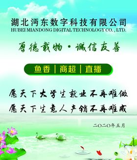 企业文化鱼香直播科技