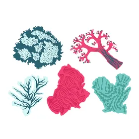 珊瑚插图海底生物五彩缤纷卡通