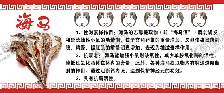 编号：25538802271733355078【酷图网】源文件下载-海马