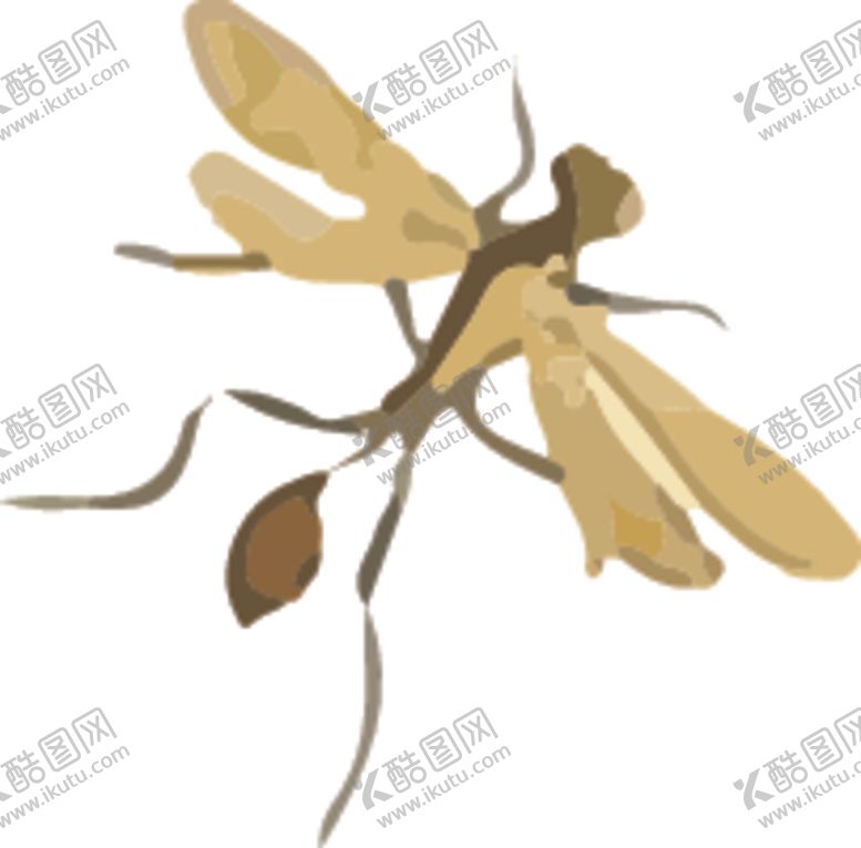 编号：13352609270652338559【酷图网】源文件下载-飞蚁昆虫插画