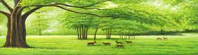 油画森林