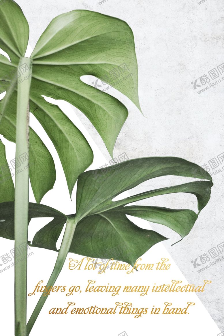 编号：20408204270220142623【酷图网】源文件下载-植物装饰画图片