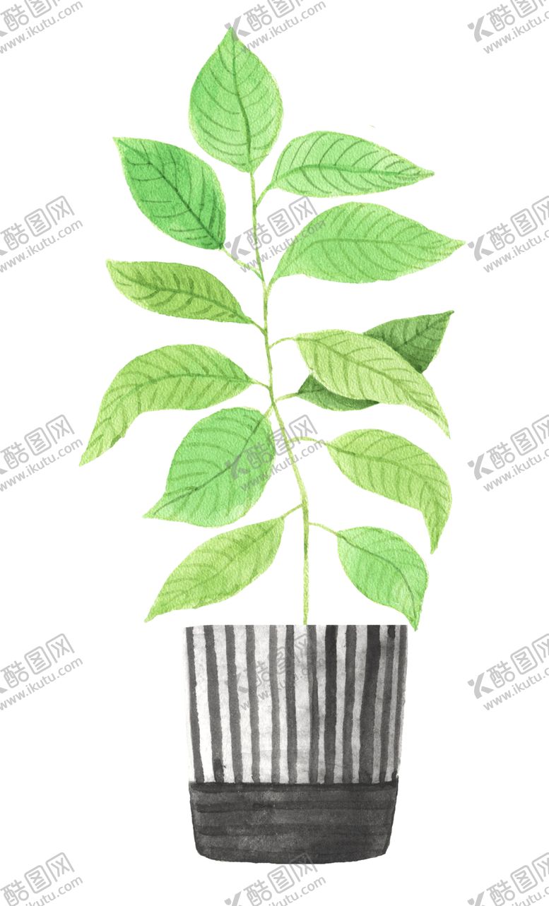 编号：68114107010849084103【酷图网】源文件下载-绿色家庭植物