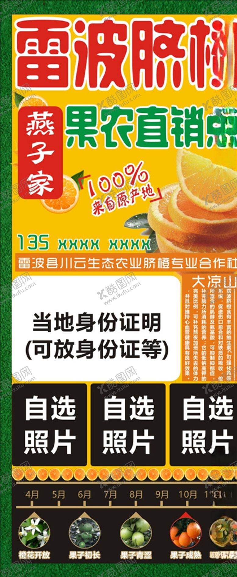 编号：99841909280741158388【酷图网】源文件下载-雷波脐橙