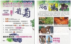 葡萄