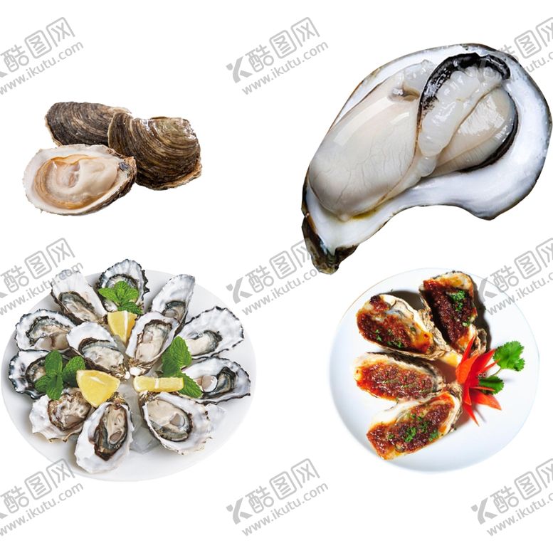 编号：36987907121820501859【酷图网】源文件下载-生蚝