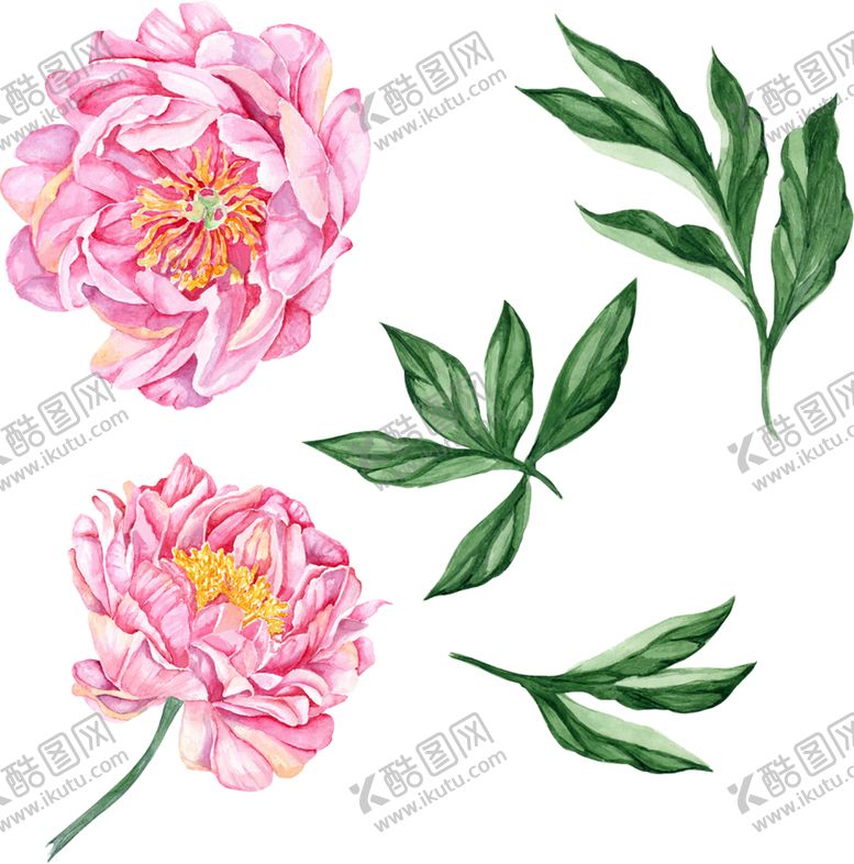 编号：31207009251416468541【酷图网】源文件下载-鲜花素材