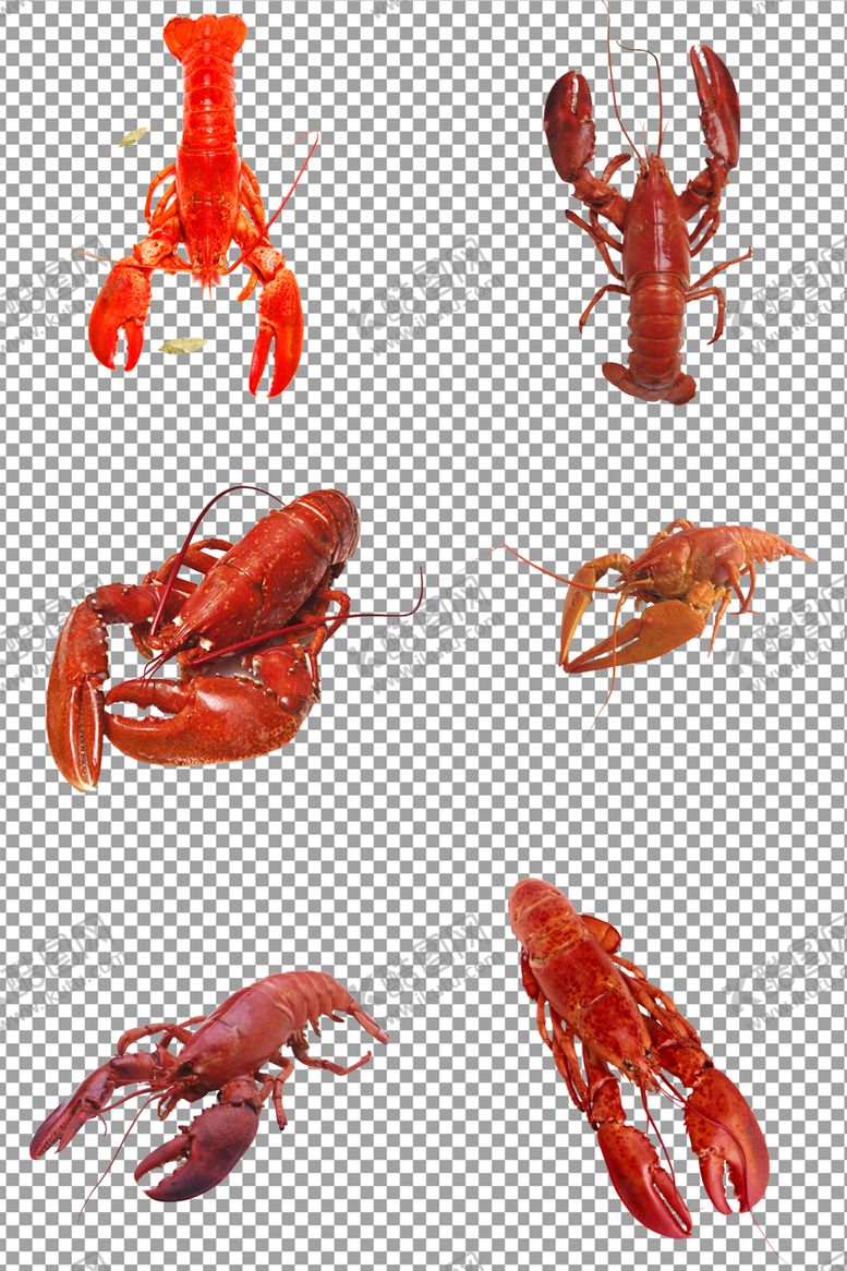 编号：16713109271203393199【酷图网】源文件下载-小龙虾