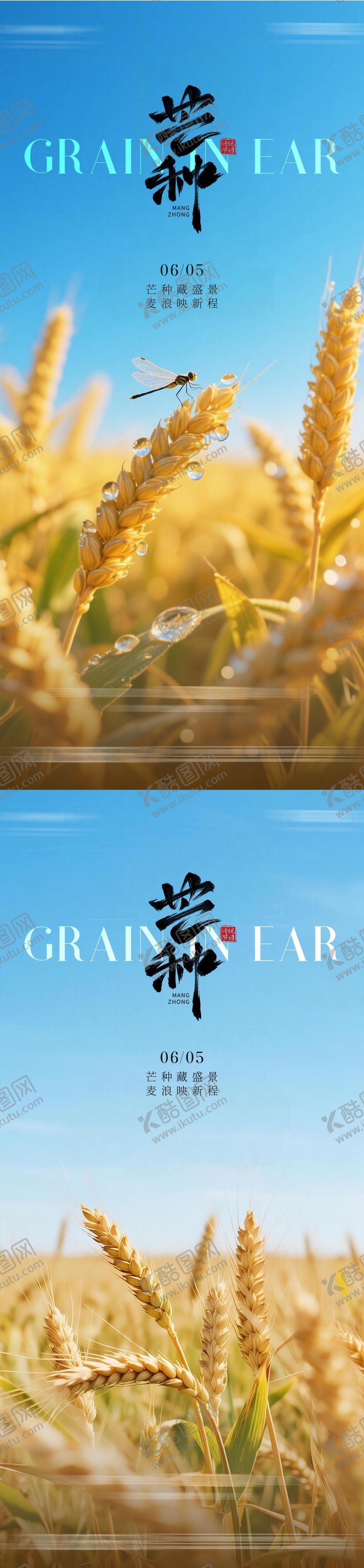 编号：80042906010006582856【酷图网】源文件下载-地产芒种节气海报