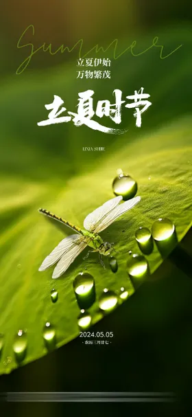 立夏海报地产蜻蜓二十四节气露珠
