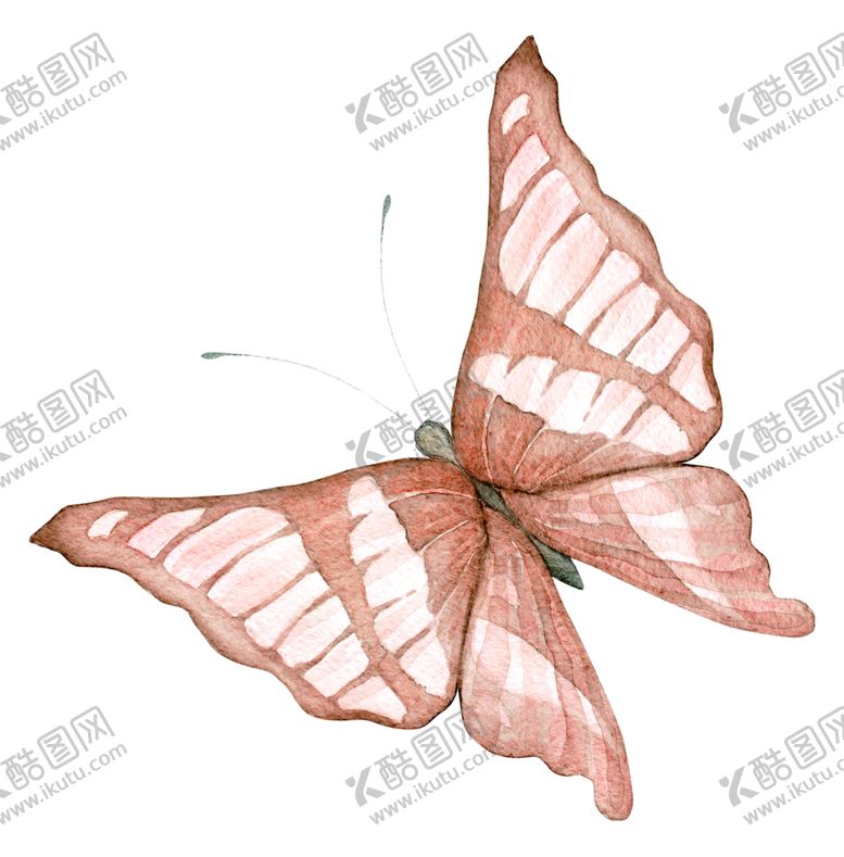 编号：10156309281245253255【酷图网】源文件下载-蝴蝶素材