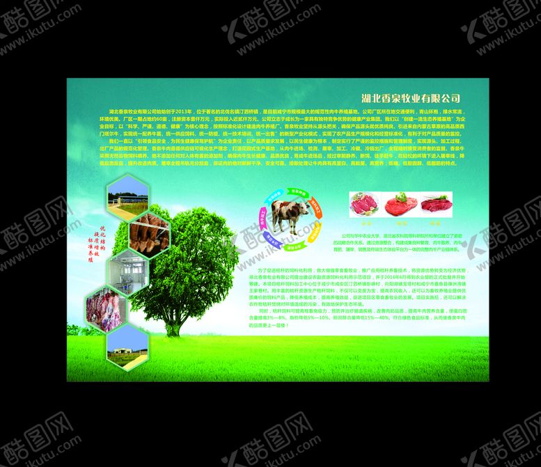 编号：49862910281910365416【酷图网】源文件下载-牛牧业展板