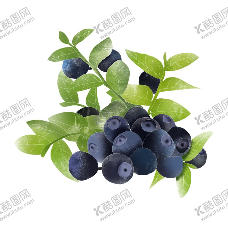 编号：88634910041901075740【酷图网】源文件下载-水果