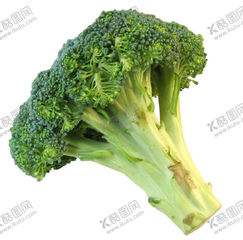 编号：60177006180856083368【酷图网】源文件下载-西兰花