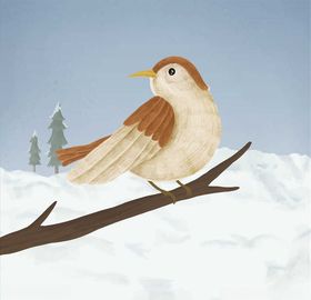 小鸟